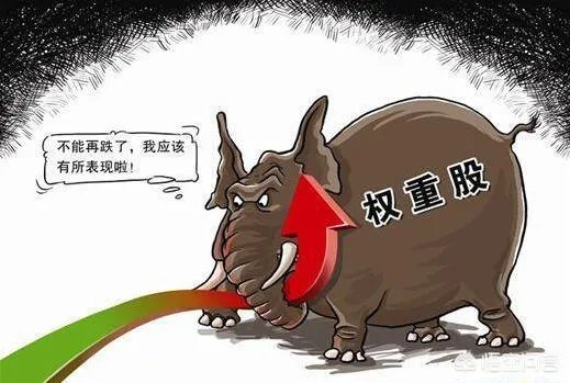 什么叫护盘？为什么要护盘？护盘的都是谁？