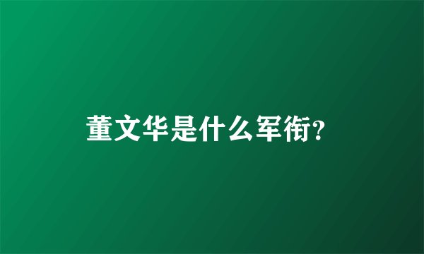 董文华是什么军衔？