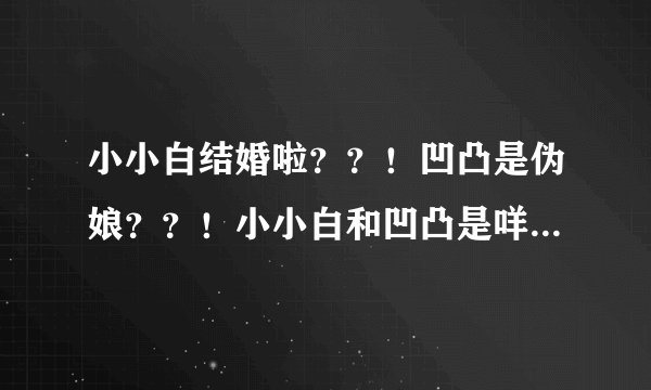 小小白结婚啦？？！凹凸是伪娘？？！小小白和凹凸是咩关系！！？