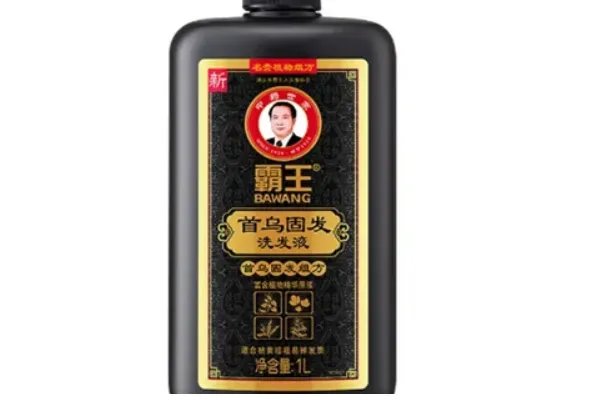 国内洗发水十大排行榜