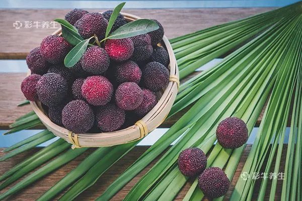 杨梅里的小白虫能吃吗