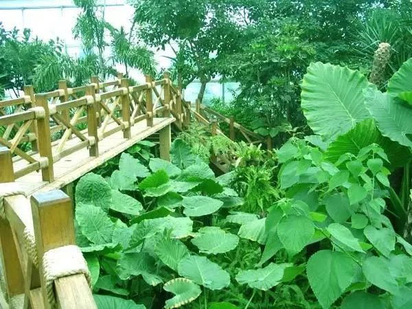 石家庄有哪些城市文化名片?