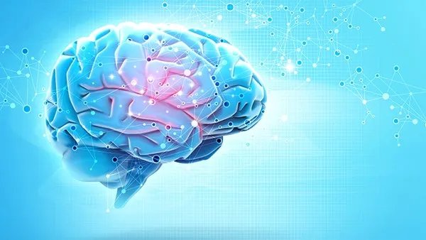 脑供血不足的原因是什么？