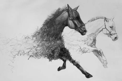 白驹过隙是什么意思??