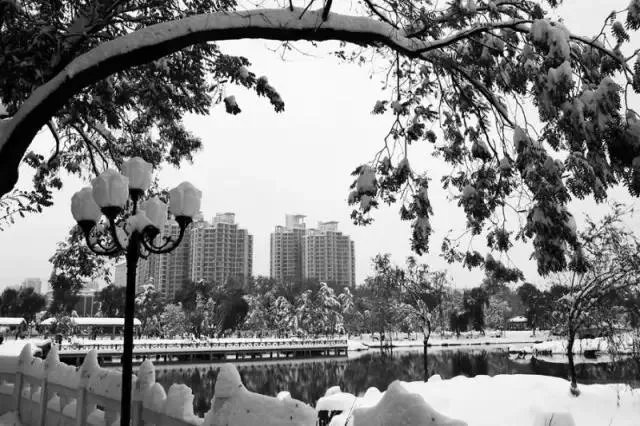 石家庄有哪些城市文化名片?