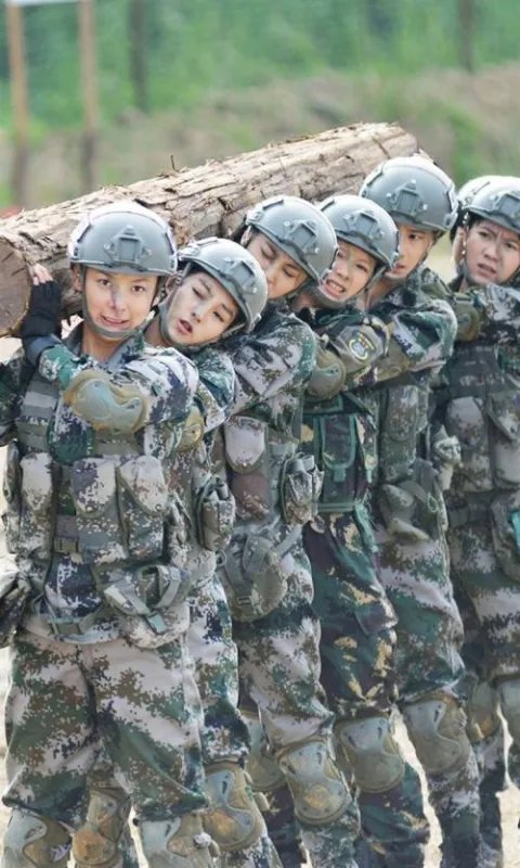 特种兵之火凤凰几部