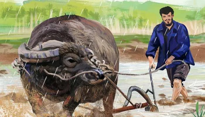 耧车是哪个朝代的 耧车的朝代