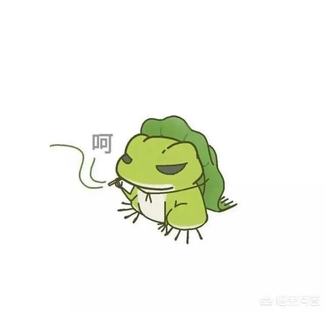 如何看待泰国女子养豹当宠物称是朋友这件事？