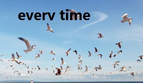 every time 和each time有什么区别