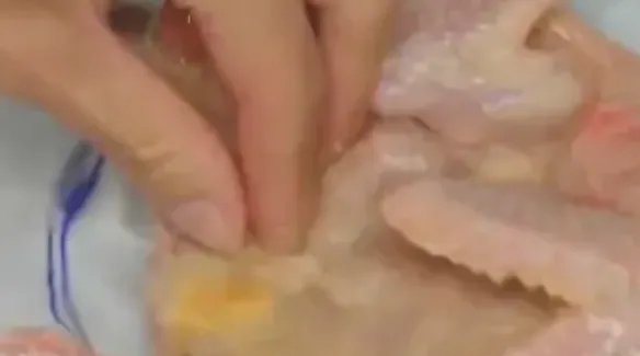 家常炖鸽子汤的做法