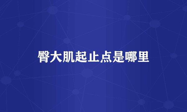 臀大肌起止点是哪里