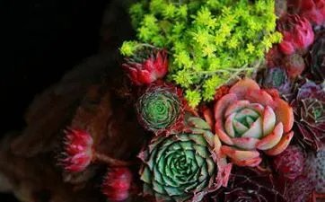 正月初五是财神爷生日吗？ 接财神是正月初五的什么时候