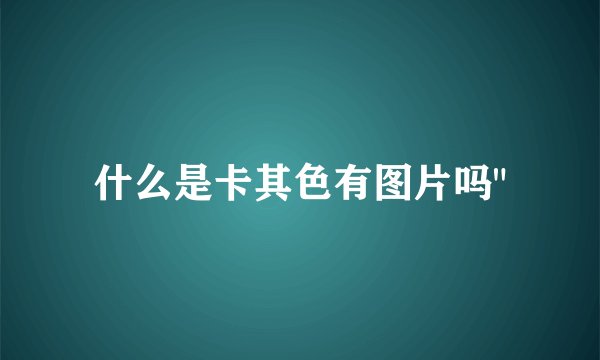 什么是卡其色有图片吗