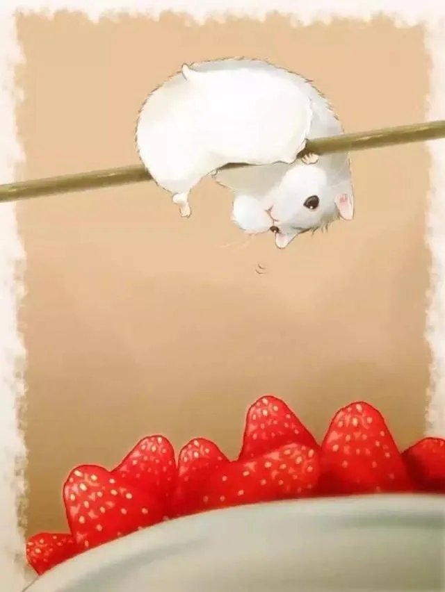 你私藏了哪些美食类电脑壁纸愿意分享？