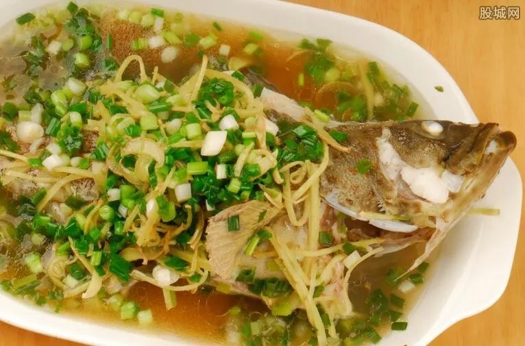 石斑鱼价格多少 海参石斑鱼多少钱一斤