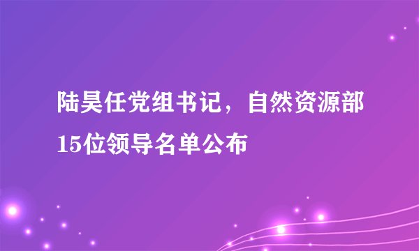 陆昊任党组书记，自然资源部15位领导名单公布