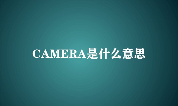 CAMERA是什么意思
