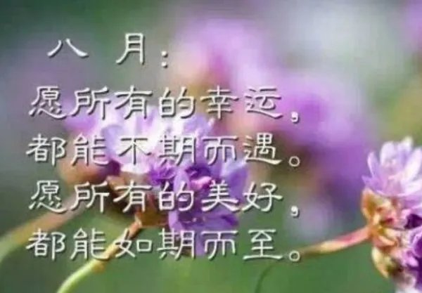 关于八月的图片带文字