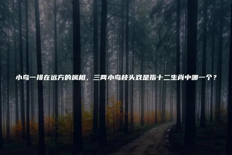 小鸟一排在远方的属相，三两小鸟枝头戏是指十二生肖中哪一个？
