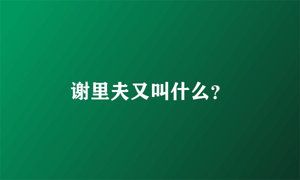 谢里夫又叫什么？
