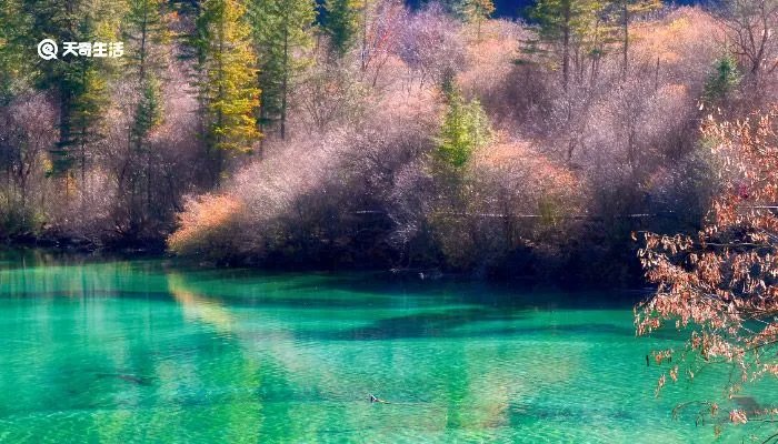 九寨沟在四川哪个城市