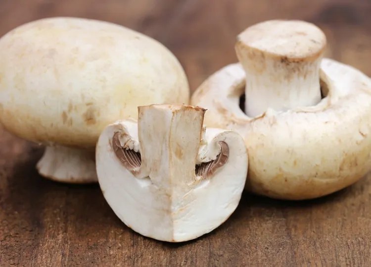 草菇的功效与作用