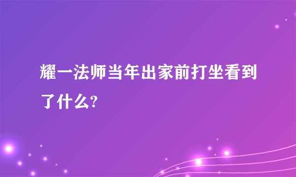 耀一法师当年出家前打坐看到了什么?