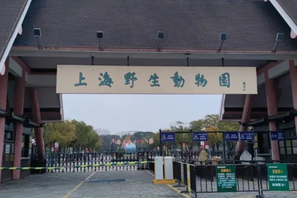 上海有哪些好玩的地方和景点