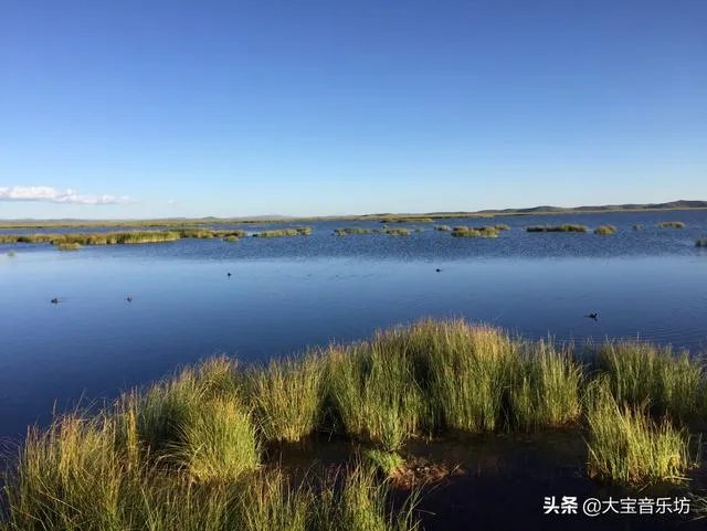 中国乐队组合有哪些