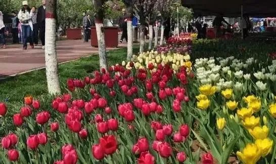 石家庄有哪些城市文化名片?