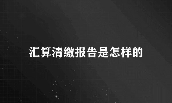 汇算清缴报告是怎样的