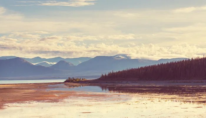 没文凭学什么技术好