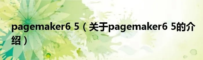 pagemaker6 5（关于pagemaker6 5的介绍）