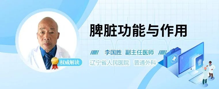 脾脏功能与作用