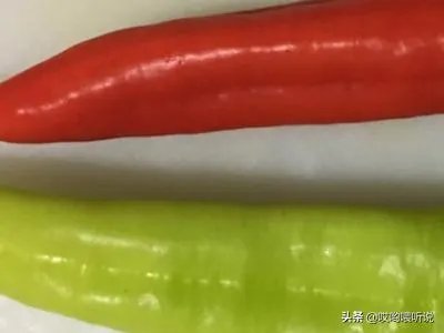 辣椒炒肉片怎么做？