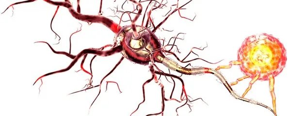 狂犬疫苗什么时候打