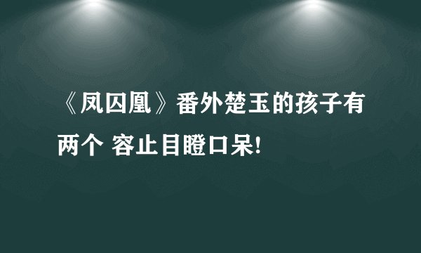 《凤囚凰》番外楚玉的孩子有两个 容止目瞪口呆!
