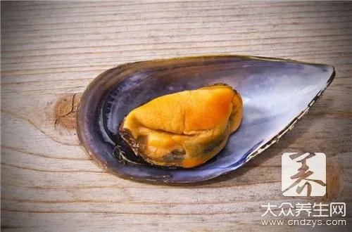 象拔蚌的功效与作用