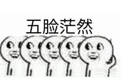 金刚菩提子价格参照