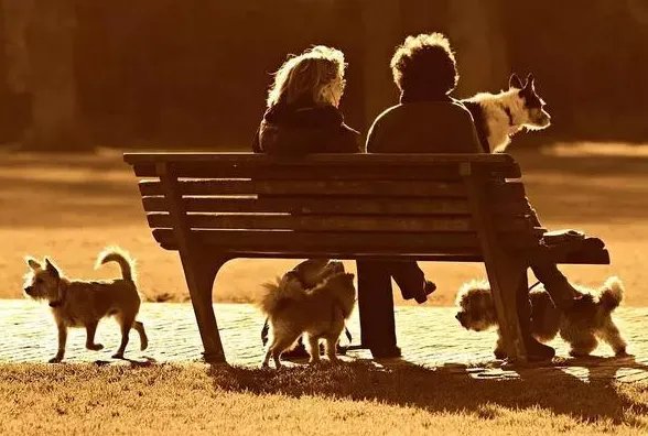 幸福感指数的介绍