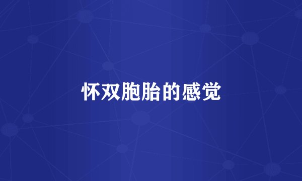 怀双胞胎的感觉