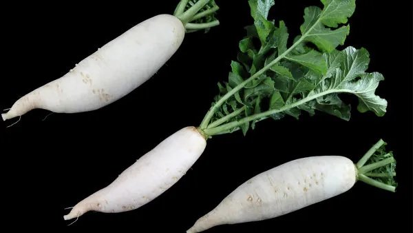 吃什么对子宫好