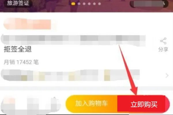 该怎么网上签证