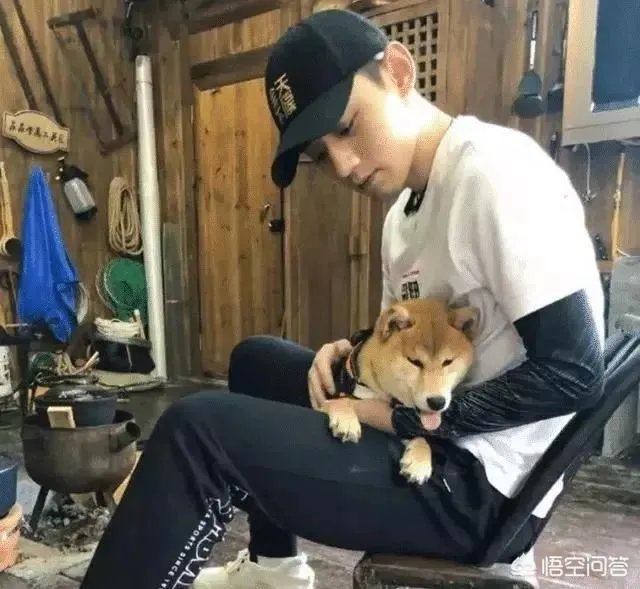 景甜张继科分手了大家怎么看？