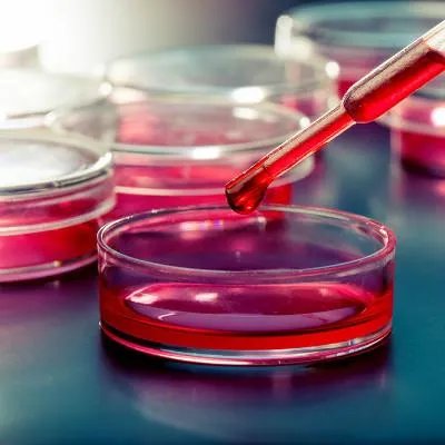 夜尿增多是怎么回事