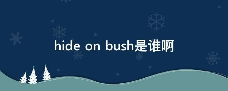 hide on bush是谁啊