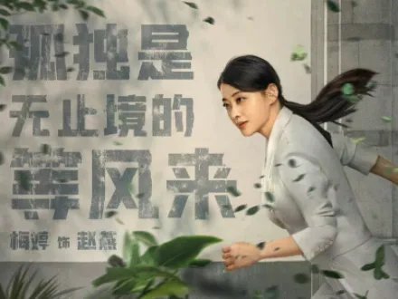 梅婷主演的电视剧