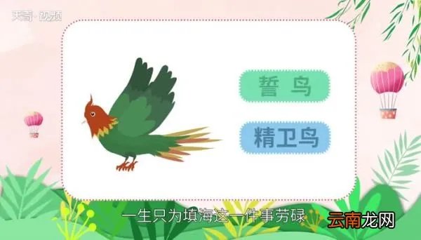 誓鸟的含义是什么 誓鸟是什么意思