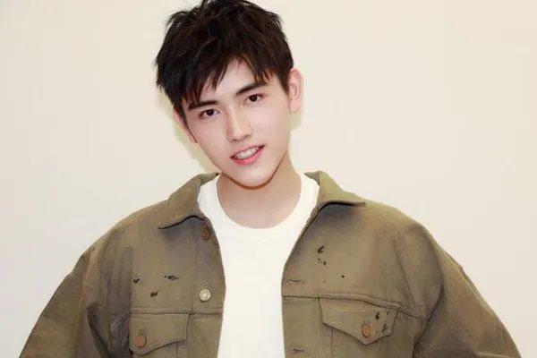 伟大的战争演员表