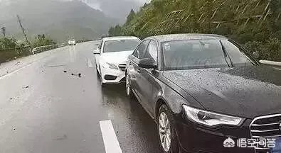 如何评价3辆豪车高速避让流浪狗，致连环车祸损失十多万？